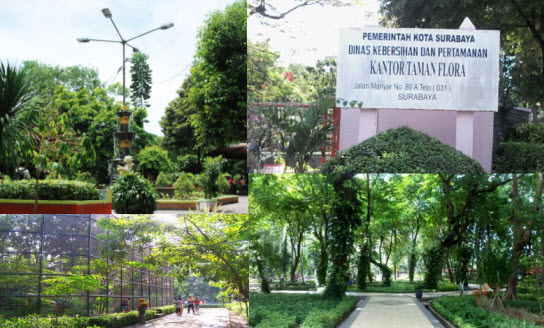 Serunya Berwisata Hemat ke Taman Flora Surabaya